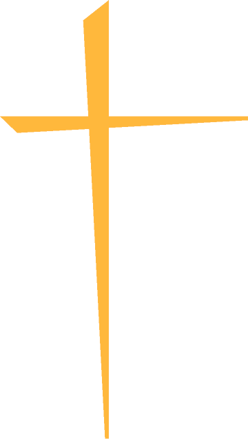 C-20