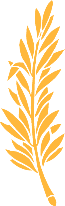FL02