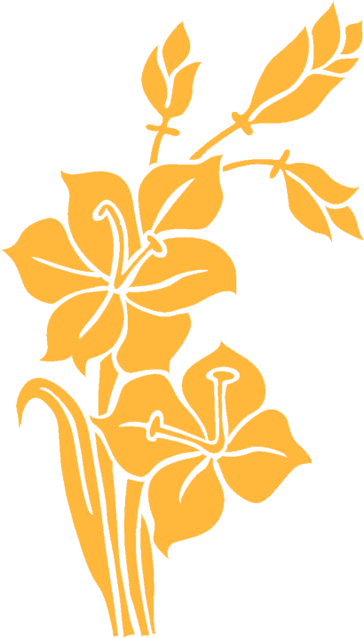 FL13