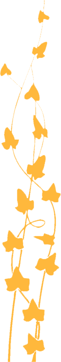 FL27