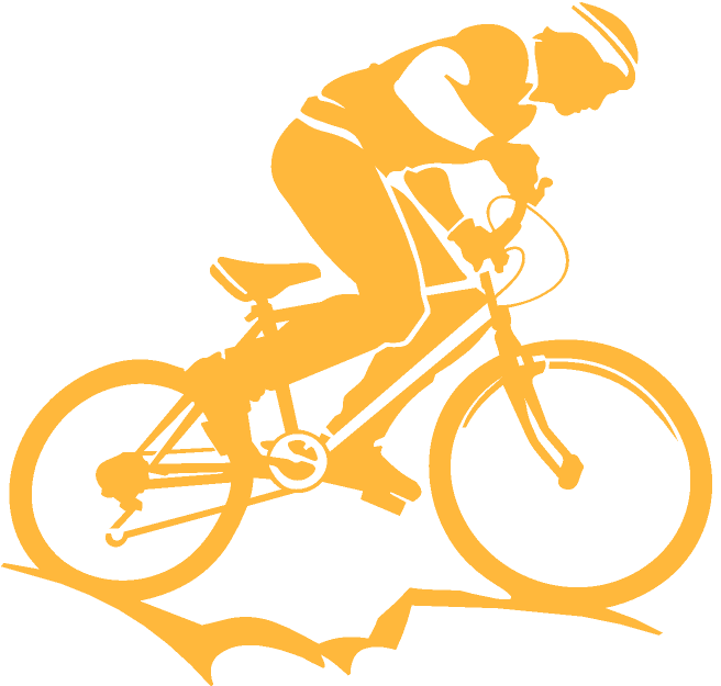 SP08