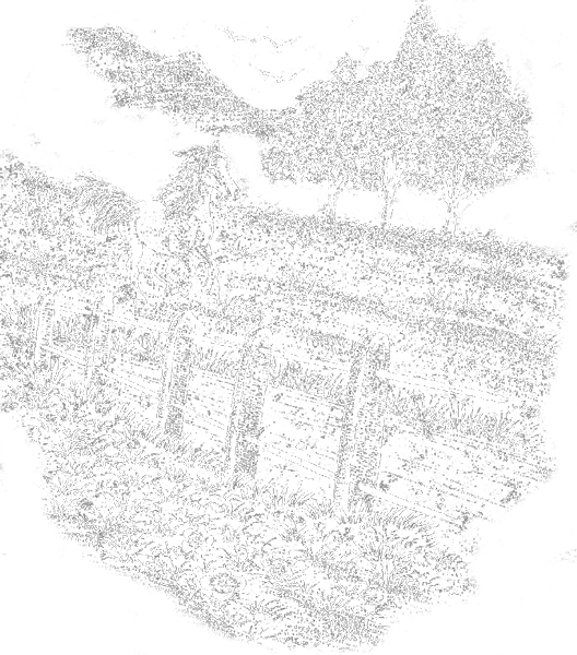 M319